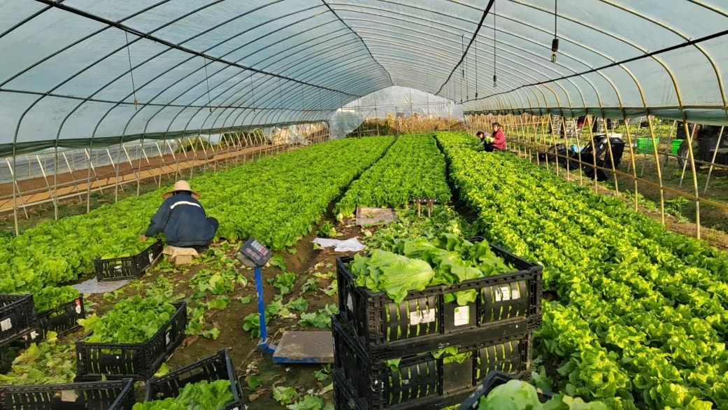 Z6·尊龙凯时「中国集团」官方网站